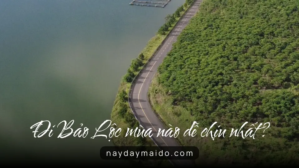 Đi Bảo Lộc mùa nào dễ chịu nhất? Đi Bảo Lộc mùa nào dễ chịu nhất?