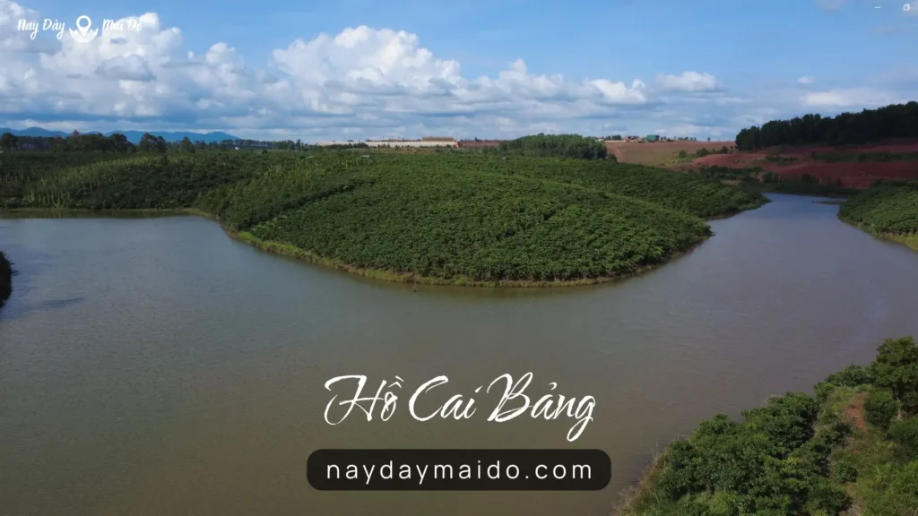 Hồ Cai Bảng Nhìn Từ Trên Cao