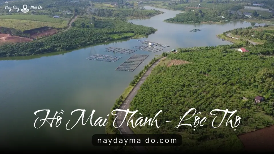 Hồ Mai Thành Nhìn Từ Trên Cao