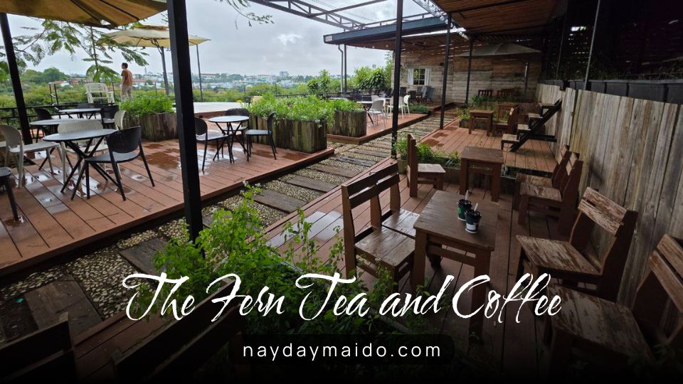 Không gian tại The Fern Tea and Coffee Bảo Lộc