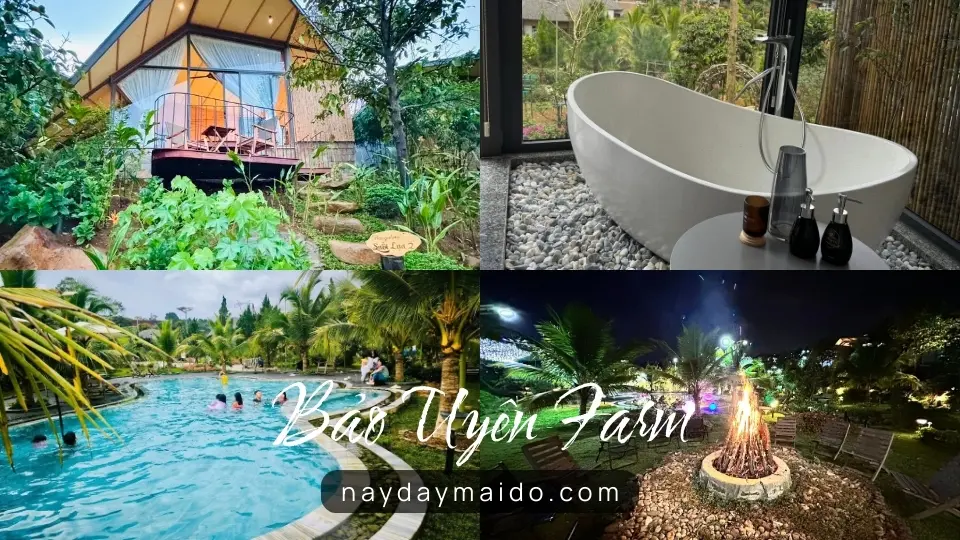 Không gian và trải nghiệm tại Bảo Uyên Farm