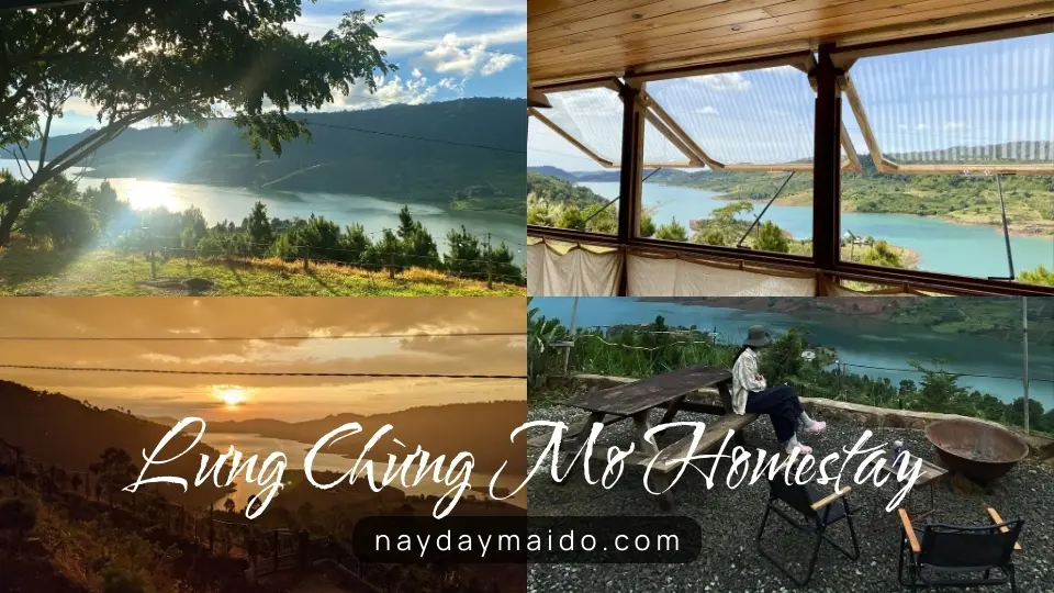 Không gian và trải nghiệm tại Lưng Chừng Mơ Homestay