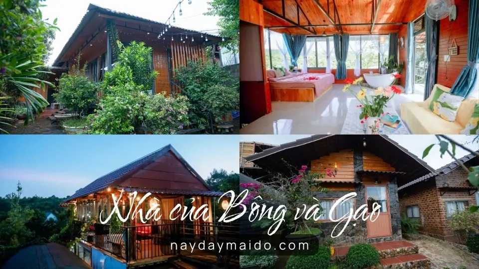 Không gian và trải nghiệm tại Nhà của Bông và Gạo Không gian và trải nghiệm tại Nhà của Bông và Gạo