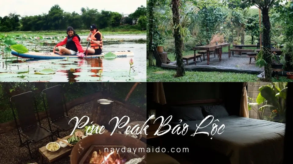 Không gian và trải nghiệm tại Pine Peak Bảo Lộc