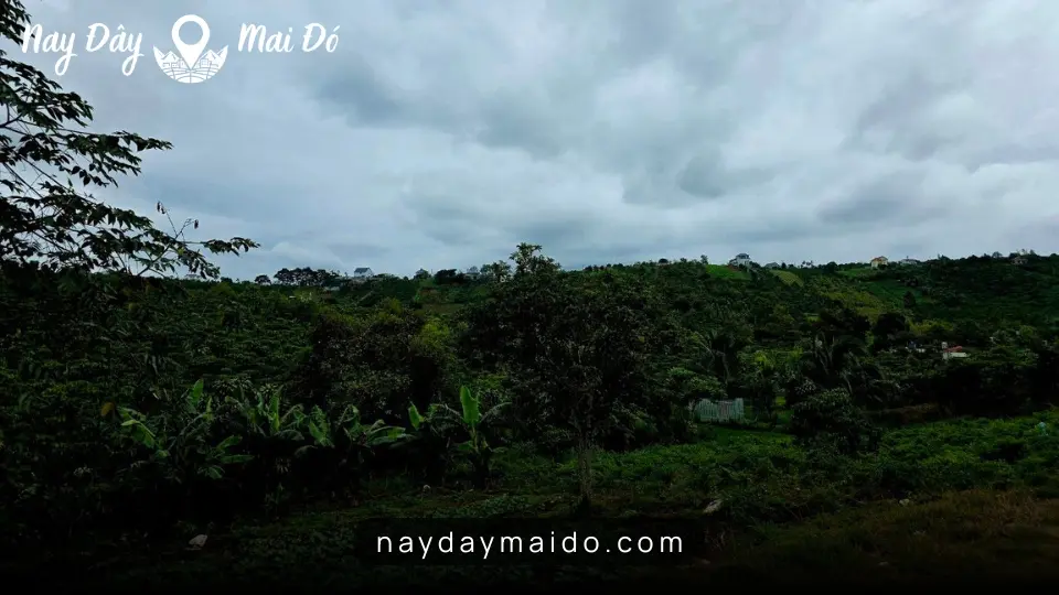 Một buổi sáng ở Bảo Lộc khi tôi không cần đi đâu