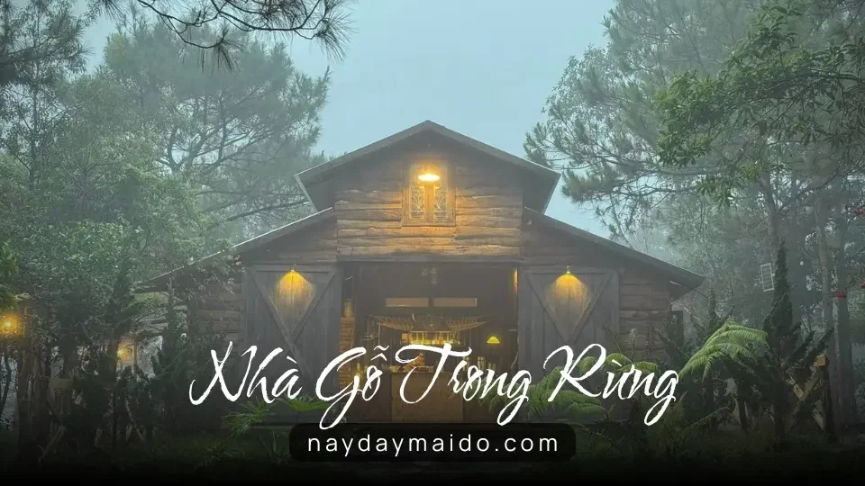 Nhà Gỗ Trong Rừng - Lộc Châu - TP Bảo Lộc