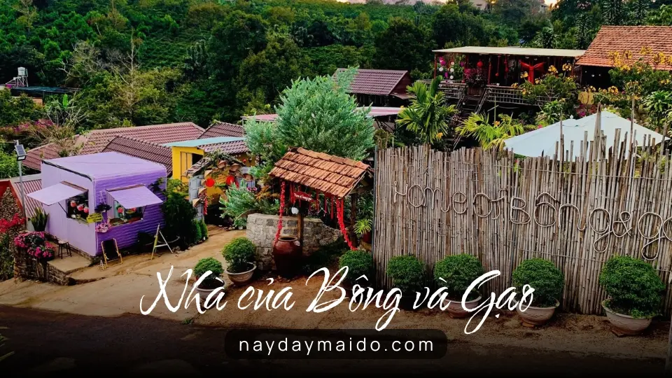 Nhà của Bông và Gạo – Không Gian Lưu Trú Nhẹ Nhàng Giữa Bảo Lộc Nhà của Bông và Gạo – Không Gian Lưu Trú Nhẹ Nhàng Giữa Bảo Lộc