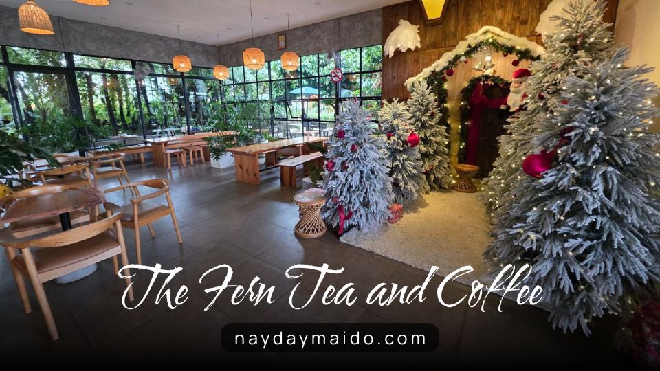 Noel 2025 tại The Fern Tea and Coffee Bảo Lộc 