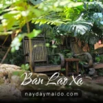 Bản Lao Xa Coffee And Tea Không Gian Yên Tĩnh Ở P2