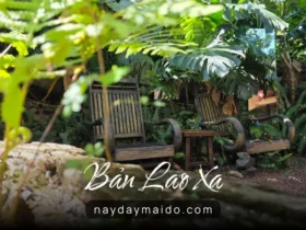 Bản Lao Xa Coffee And Tea Không Gian Yên Tĩnh Ở P2