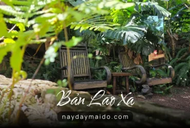 Bản Lao Xa Coffee And Tea Không Gian Yên Tĩnh Ở P2
