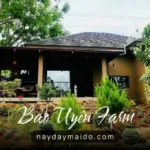 Bảo Uyên Farm - Farmstay ngay nội thành Bảo Lộc