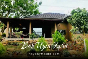 Bảo Uyên Farm - Farmstay ngay nội thành Bảo Lộc