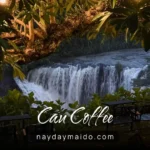 CAU Coffee - Thác Cây Cau
