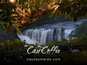 CAU Coffee - Thác Cây Cau