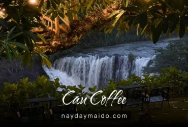 CAU Coffee - Thác Cây Cau