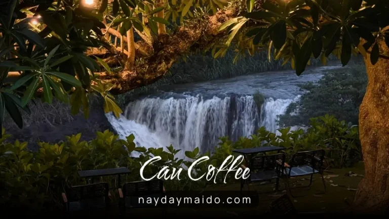 CAU Coffee - Thác Cây Cau