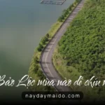 Đi Bảo Lộc mùa nào dễ chịu nhất?