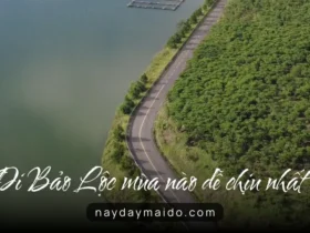 Đi Bảo Lộc mùa nào dễ chịu nhất?