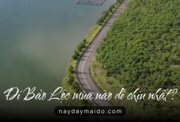 Đi Bảo Lộc mùa nào dễ chịu nhất?