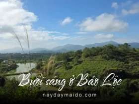 Điểm dừng không tên vào một buổi sáng ở Bảo Lộc