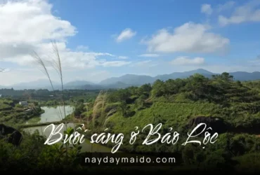 Điểm dừng không tên vào một buổi sáng ở Bảo Lộc