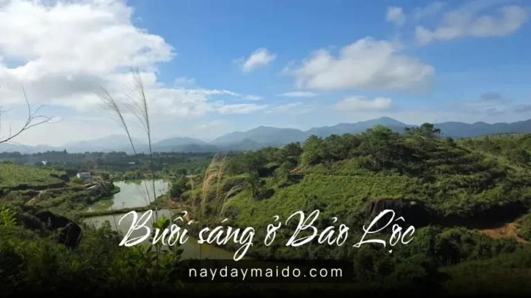 Điểm dừng không tên vào một buổi sáng ở Bảo Lộc