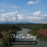 Hồ Cai Bảng Bảo Lộc – Góc Hồ Yên Tĩnh Ít Người Biết Ở Lâm Đồng