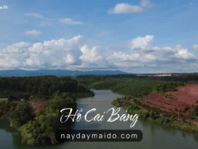 Hồ Cai Bảng Bảo Lộc – Góc Hồ Yên Tĩnh Ít Người Biết Ở Lâm Đồng