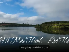 Hồ Mai Thành - Điểm Đến Lý Tưởng Cho Cần Thủ