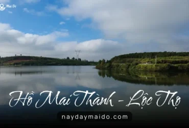 Hồ Mai Thành - Điểm Đến Lý Tưởng Cho Cần Thủ