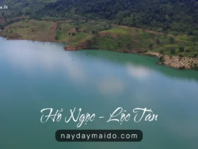 Hồ Ngọc Lộc Tân – Hồ Nước Lớn Và Yên Tĩnh Bậc Nhất Giữa Cao Nguyên