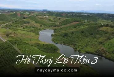 Hồ Thủy Lợi Thôn 3 Lộc Tân – Khoảng Lặng Xanh ở Bảo Lâm