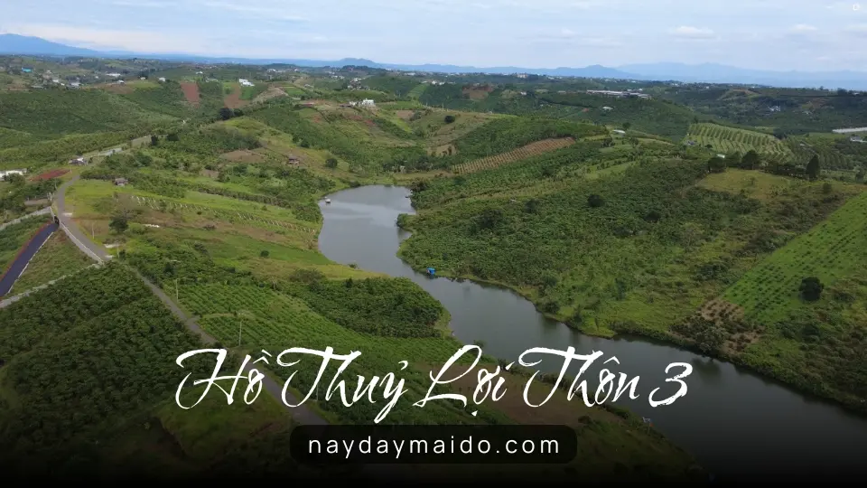 Hồ Thủy Lợi Thôn 3 Lộc Tân – Khoảng Lặng Xanh ở Bảo Lâm