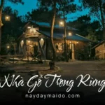 Không gian Nhà Gỗ Trong Rừng - Lộc Châu - TP Bảo Lộc