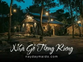 Không gian Nhà Gỗ Trong Rừng - Lộc Châu - TP Bảo Lộc