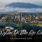 Kinh nghiệm đi Bảo Lộc lần đầu Đi chậm, đủ và không cần quá nhiều kế hoạch