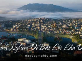 Kinh nghiệm đi Bảo Lộc lần đầu Đi chậm, đủ và không cần quá nhiều kế hoạch