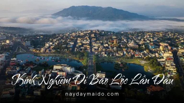 Kinh nghiệm đi Bảo Lộc lần đầu Đi chậm, đủ và không cần quá nhiều kế hoạch