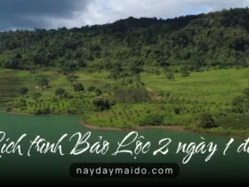 Lịch trình Bảo Lộc 2 ngày 1 đêm