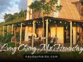 Lưng Chừng Mơ Homestay - View Hồ Ngọc Xịn Xò