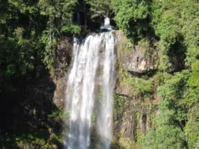 Một buổi trốn phố giữa rừng sâu Bảo Lộc, tôi gặp Thác Liêng Ài