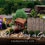 Nhà của Bông và Gạo – Không Gian Lưu Trú Nhẹ Nhàng Giữa Bảo Lộc