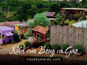 Nhà của Bông và Gạo – Không Gian Lưu Trú Nhẹ Nhàng Giữa Bảo Lộc