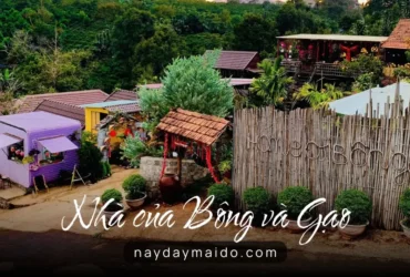 Nhà của Bông và Gạo – Không Gian Lưu Trú Nhẹ Nhàng Giữa Bảo Lộc