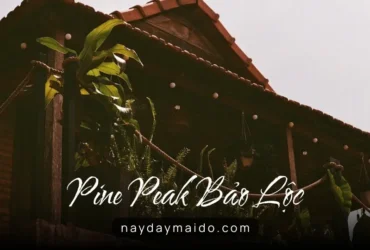 Pine Peak Bảo Lộc – Không Gian Lưu Trú Giữa Đồi Thông