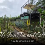 The Fern Tea and Coffee Bảo Lộc – Quán Yên Tĩnh ở Phường 2 Bảo Lộc