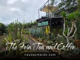 The Fern Tea and Coffee Bảo Lộc – Quán Yên Tĩnh ở Phường 2 Bảo Lộc