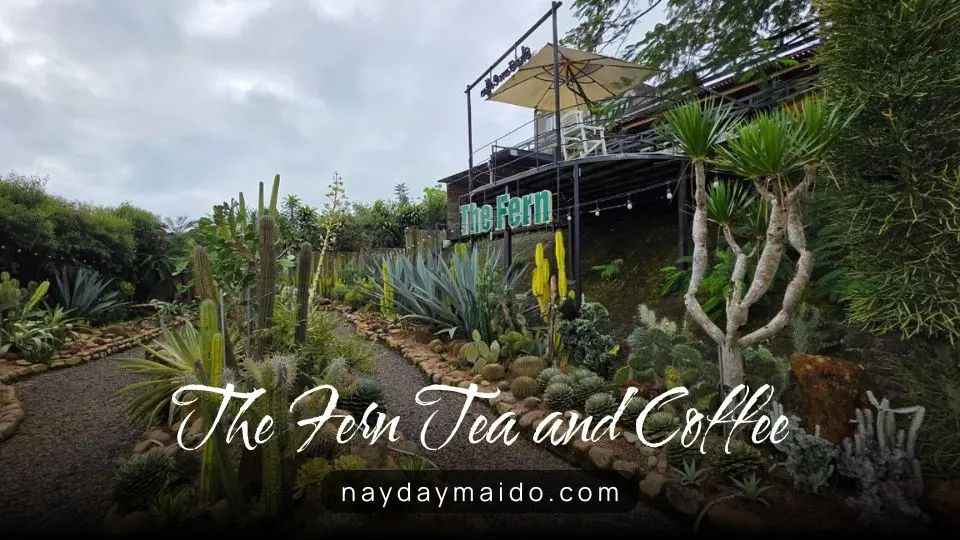 The Fern Tea and Coffee Bảo Lộc – Quán Yên Tĩnh ở Phường 2 Bảo Lộc