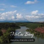 Hồ Cai Bảng Góc yên tĩnh ít người biết Video Flycam 4K